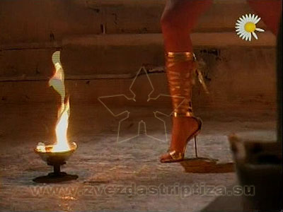 ?????? ????????? MTV ????????. ??? ? ?????