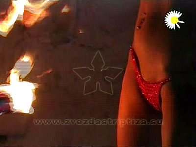 ???? ??????? ???? 2009, ???? ??????.