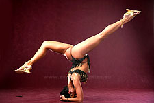 ?????-?????????? ????????. ???? 12