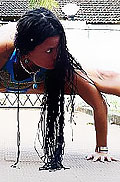 ������� Cheetah-ra. ������������ ��������� ���������� Cheetah-����